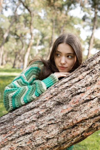 Portrait of young pretty woman in sweater standing near tree in summer park — Stock Photo