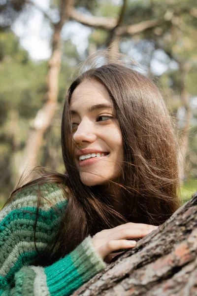 Портрет улыбающейся девушки в свитере, трогающей дерево в размытом парке — стоковое фото