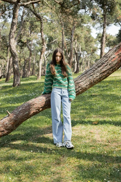 Young woman in sweater and jeans standing near tree in summer park — Stock Photo