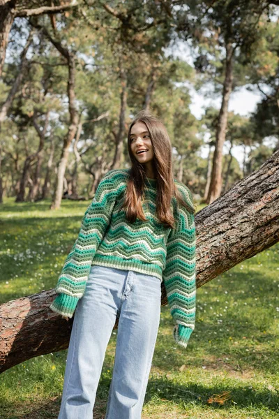 Positive woman in knitted sweater and jeans looking away while standing in park — Stock Photo