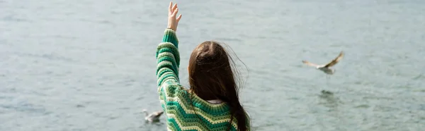 Vue arrière de la femme brune en pull debout près des mouettes floues sur l'eau en Turquie, bannière — Photo de stock