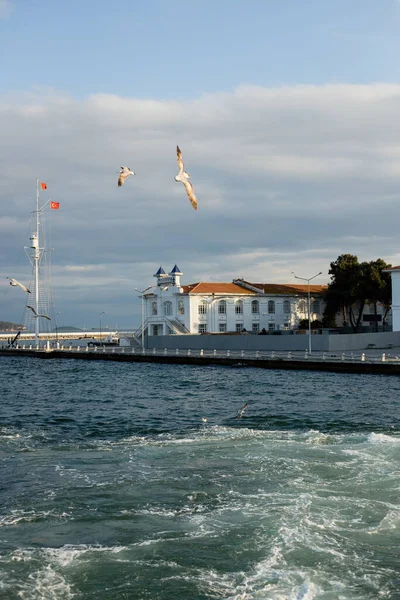 Möwen fliegen über blauem Meer und Pier in Istanbul — Stockfoto