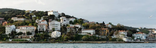 Gull flying above blue sea near different houses on coast of Istanbul, banner — Stock Photo