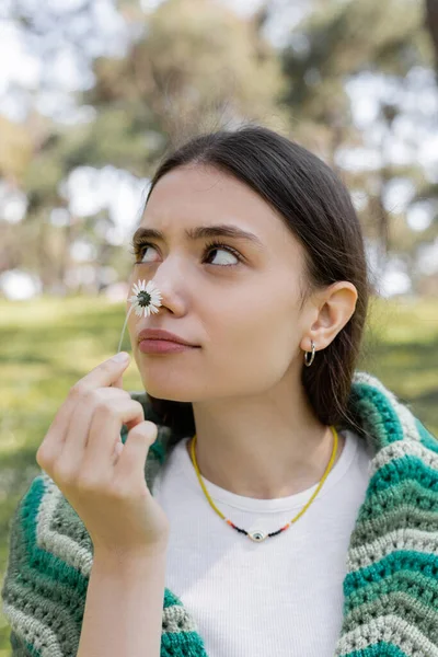 Молодая брюнетка, нюхающая маргаритку и смотрящая в парк — стоковое фото
