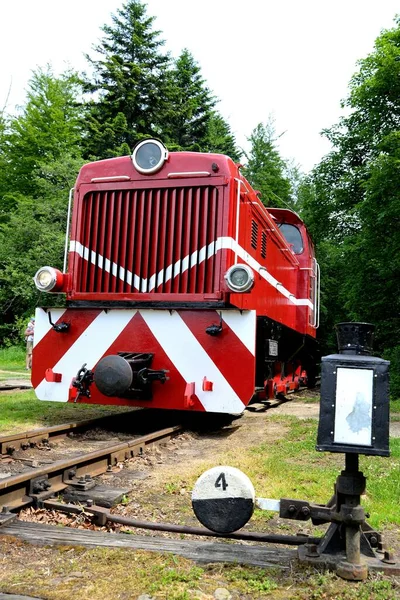 Dar ölçü demiryolu Bieszczady orman yolu ve cazibesi