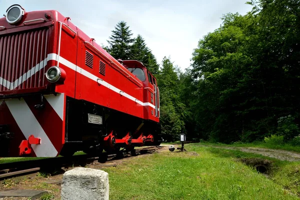 Dar ölçü demiryolu Bieszczady orman yolu ve cazibesi