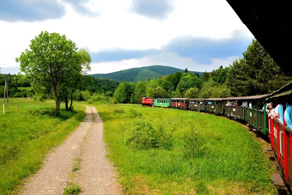 Dar ölçü demiryolu Bieszczady orman yolu ve cazibesi