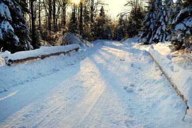 Güneşli bir günde orman karla kaplı köy yolu