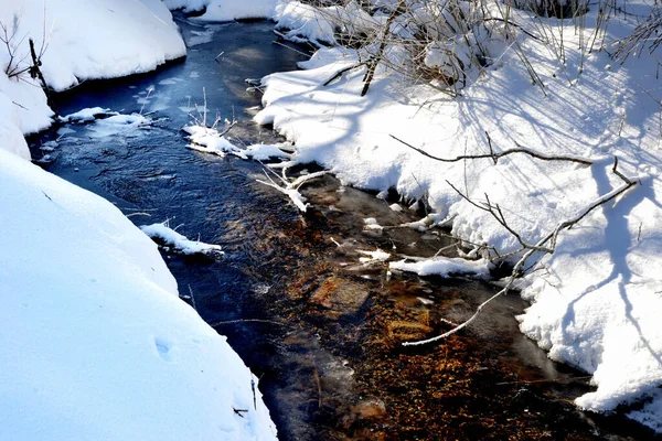 冬季山溪流过白雪覆盖的海岸 — 图库照片