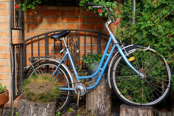背景としての古い自転車と緑 — ストック写真
