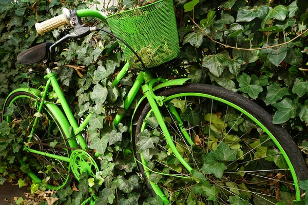 Старый Велосипед Зеленый Фон — стоковое фото