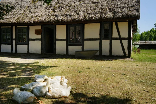 Polonya 'nın Kluki kentindeki Slovakya Köyü Müzesi
