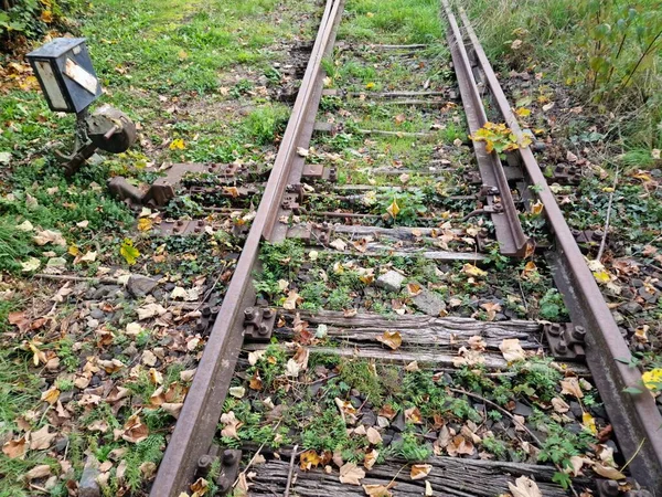 Alte Bahngleise Die Schon Lange Nicht Mehr Genutzt Werden — Stockfoto