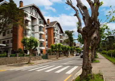 Campos 'un ana caddesi Brezilya' nın Jordao şehrinde, tipik İsviçre mimarisi olan sıra sıra ağaçlar ve binalar var..