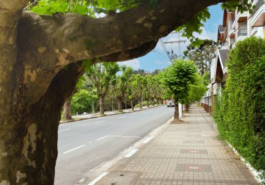 Campos 'un ana caddesi Jordao, Brezilya, sıra sıra ağaçlarla.