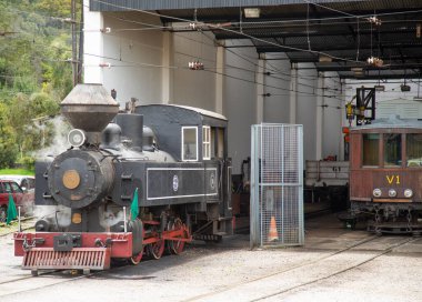 Campos 'taki Emilio Ribas İstasyonu' nda buharlı tren Jordao, Brezilya.