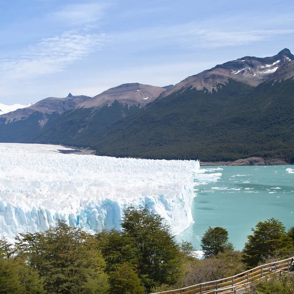 Perito Moreno Park with landscape of glacier, mountains, lake and its vegetation.