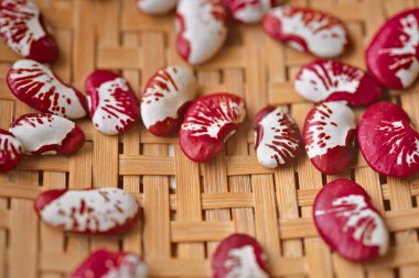 Çalı fasulyesi, fasulye ya da Phaseolus lunatus olarak da bilinen Andean lima fasulyesi, Amerika Birleşik Devletleri kökenli bir bitkidir.