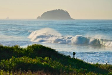 Beautiful beach in Rio de Janeiro with restinga vegetation in the foreground and an island in the background. Wild beach. clipart