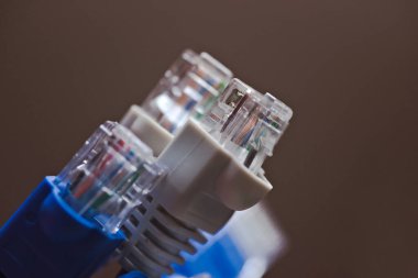 Mavi RJ45 ethernet kablosunun makro görüntüsü. İnternet kablosu, patchcord, router kablosu, web erişimi.
