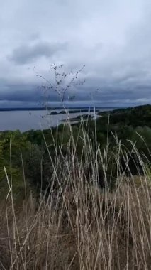 Nehre bakan bulutlu bahar günü. Dikey video. Yakın plan kuru çimenler bulutlu gökyüzü, orman ve göletin arka planında rüzgarda sallanır. Dağın manzarası. Doğu Avrupa 'nın manzarası. 