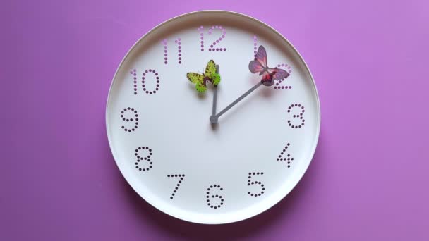 디자인 시간의 흐름의 생활의 시계와 보라색 배경에 나비가 가까이 있습니다 — 비디오