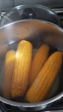 Haşlanmış mısır. Sebze pişiriyorum. Sıcak mısır koçanından buhar çıkıyor. dikey video. Vejetaryenlik ve sağlıklı gıda konsepti.