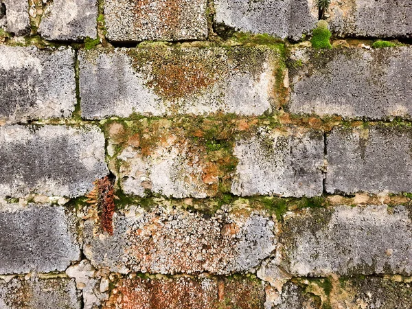 Avrupa 'da yıpranmış eski tuğla duvar. Çatlak taştan yapılmış, yosun kaplı eski bir duvar. Tasarım, kapak, fotoğraf arkaplanı şablonu.