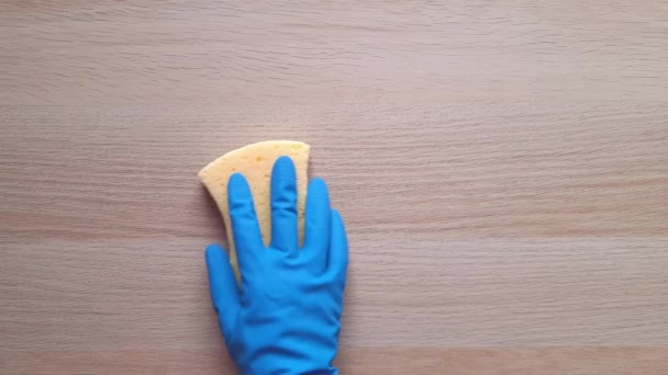 Limpeza Molhada Casa Conceito Primavera Limpeza Profunda Cozinha Mão Luva — Vídeo de Stock