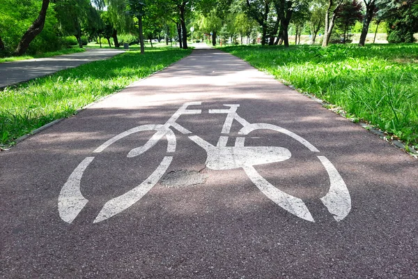 Road markings marking road for cyclists. Walkway in park on sunny day. Image of bike on pavement. Traffic Laws. Concept of cycling with family and friends. Highway code.