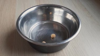 Kuru köpek maması kaseye düşüyor. Yemek zamanı. Yuvarlak evcil hayvan mamaları kalın metal tabaklara düşer. Köpek yaşam tarzı. Köpek dostu bir yer. Diyet ve günlük yiyecek alımı.