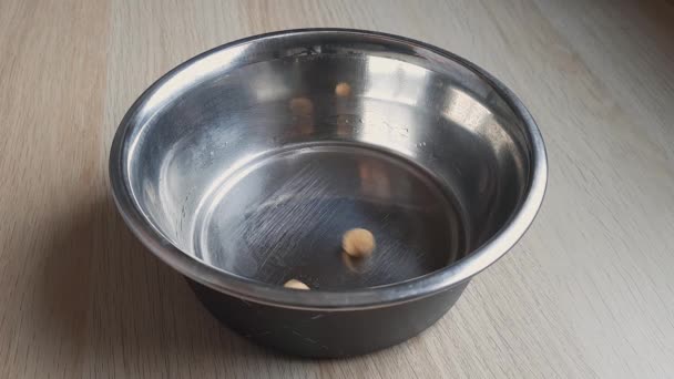 Ξηρές Σκυλοτροφές Πέφτουν Στο Μπολ Ώρα Για Φαγητό Στρογγυλή Σφαιρίδια — Αρχείο Βίντεο
