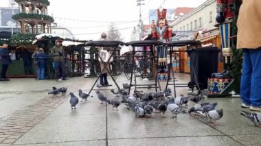 Noel pazarı. Halka açık yerde. Güvercinler bayram tezgahlarının yanında ekmek yerler. Yerel tedarikçilerden geleneksel yiyecekler. Yeni yılın şenlikli atmosferi. 08-12-2023 Pazar Meydanı Katowice, Polonya, Avrupa. Noel pazarı. Açık alan. 