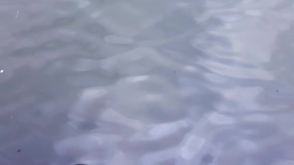 Reflejo Olas Agua Del Río Antecedentes Pequeñas Olas Superficie Del — Vídeo de stock