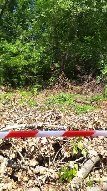 Vorsicht Klebeband Weiß Rotes Band Auf Verschwommenem Hintergrund Eines Waldes — Stockvideo