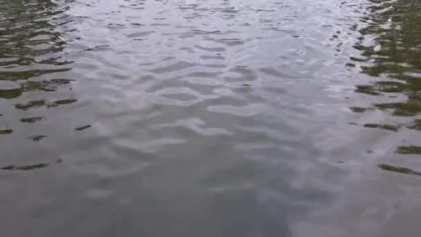 Agua Oscura Del Río Con Superficie Ondulada Ondulaciones Reflejos Los — Vídeos de Stock