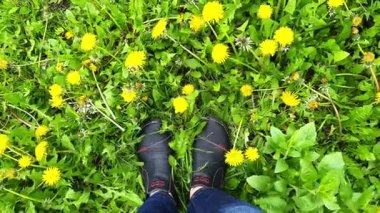 Sarı karahindiba bahçesinde siyah mokasenli bacaklar. Deri ayakkabılar ve kotlarla yukarıdan bak. İnsan ve doğa. Dünya Günü.