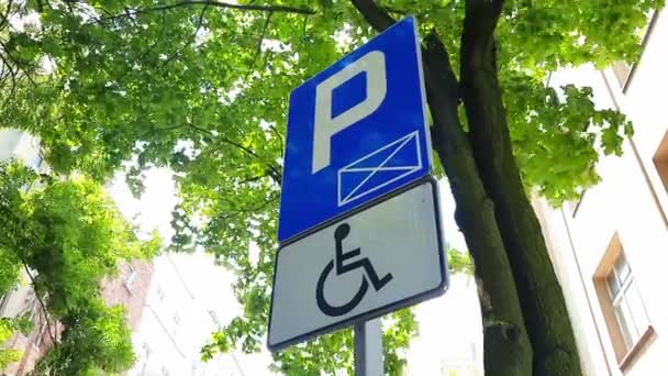 Parcheggio Solo Conducenti Disabili Segnale Stradale Sullo Sfondo Albero Concetto — Video Stock