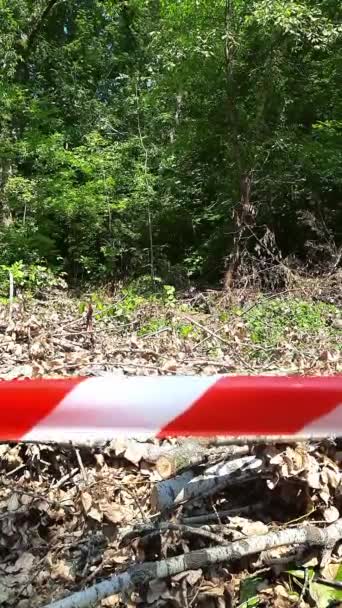 Caution Tape Background Trees Dry Bushes White Red Ribbon Prohibits — Stockvideo