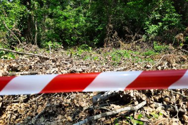 Kırmızı ve beyaz barikat bandı parka giden yolu engelliyor. Yeşil ağaçlarda seçili odak görünümü. Tehlike bölgesi belirtileri