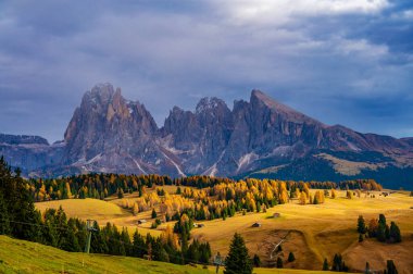 Güneş altın çayırlarda ve ormanlarda, altın alp ovalarında parıldıyor. Sonbahar manzarası. Alpe di Siusi veya Seiser Alm, Dolomites Alps Sassolungo ve Sassopiatto dağları, Trentino Alto Adige Sud Tyrol, İtalya, Avrupa