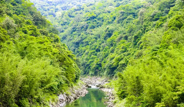 Bela Paisagem Natural Rio Taiwan Floresta Tropical Verde Com Montanhas — Fotografia de Stock