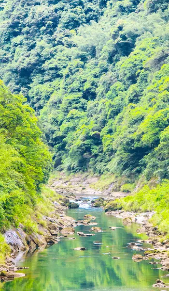 Bela Paisagem Natural Rio Taiwan Floresta Tropical Verde Com Montanhas — Fotografia de Stock