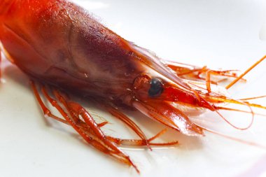 Vahşi bir Tayvan kırmızı hokkai karidesi.
