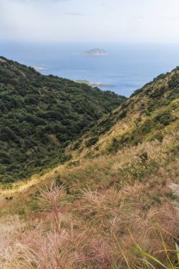 Miscanthus ile kaplı bir vadiden Keelung Adası manzarası