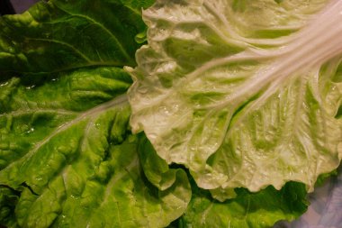 Bir lahananın yapraklarına yakın çekim, canlılığını ve detaylarını sergiliyor.