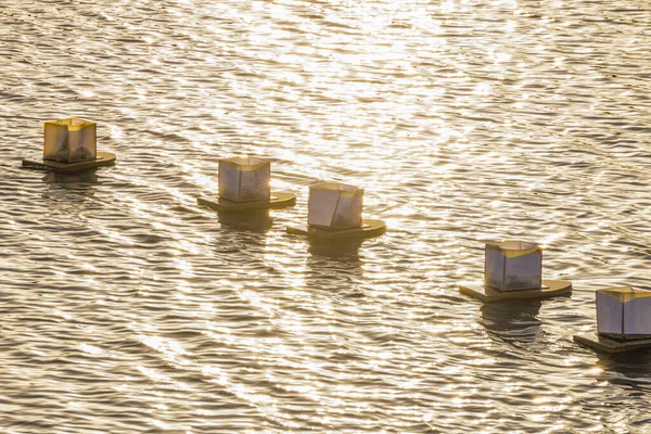 Water lanterns under the setting sun