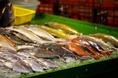 Çeşitli taze ve canlı deniz ürünleriyle dolu bir market tezgahı.