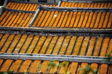  Geleneksel Tayvan fayans çatıları, zengin turuncu renkleri ve karmaşık işçilikleri ile