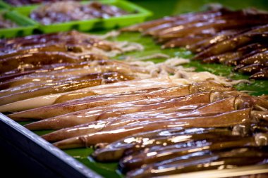  Balık pazarından taze mürekkep balığı.